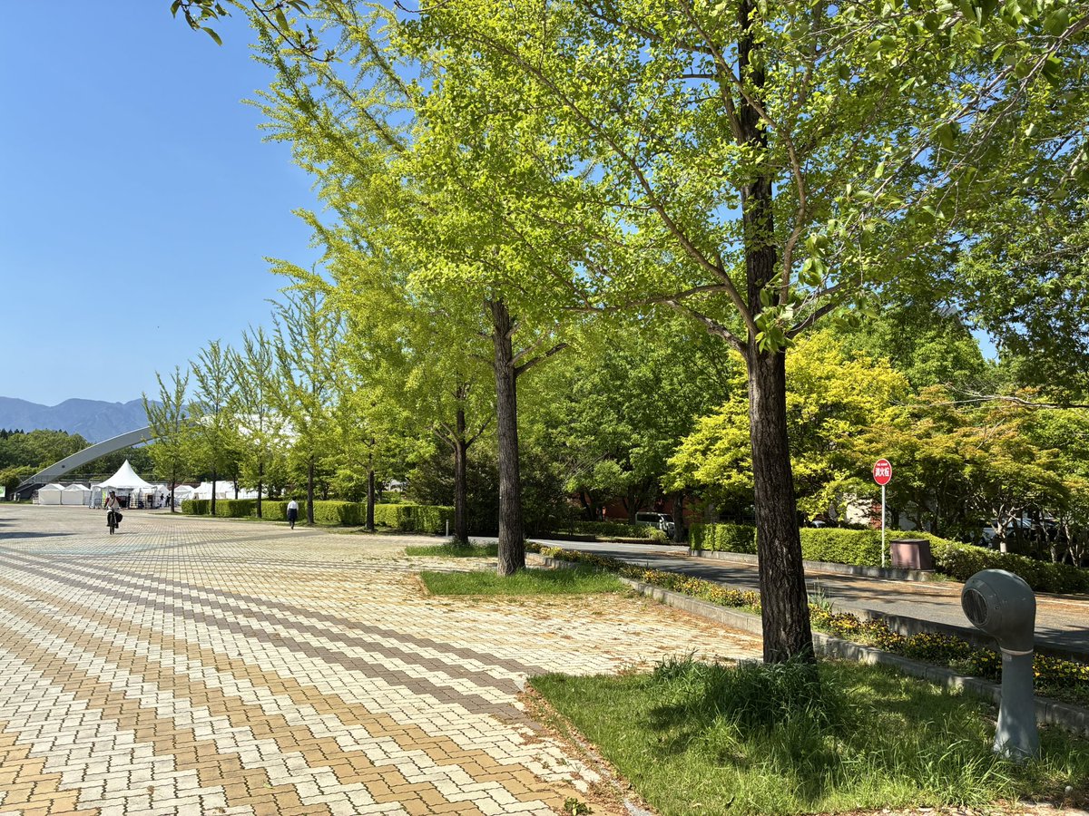 やまみちゆか tweet media