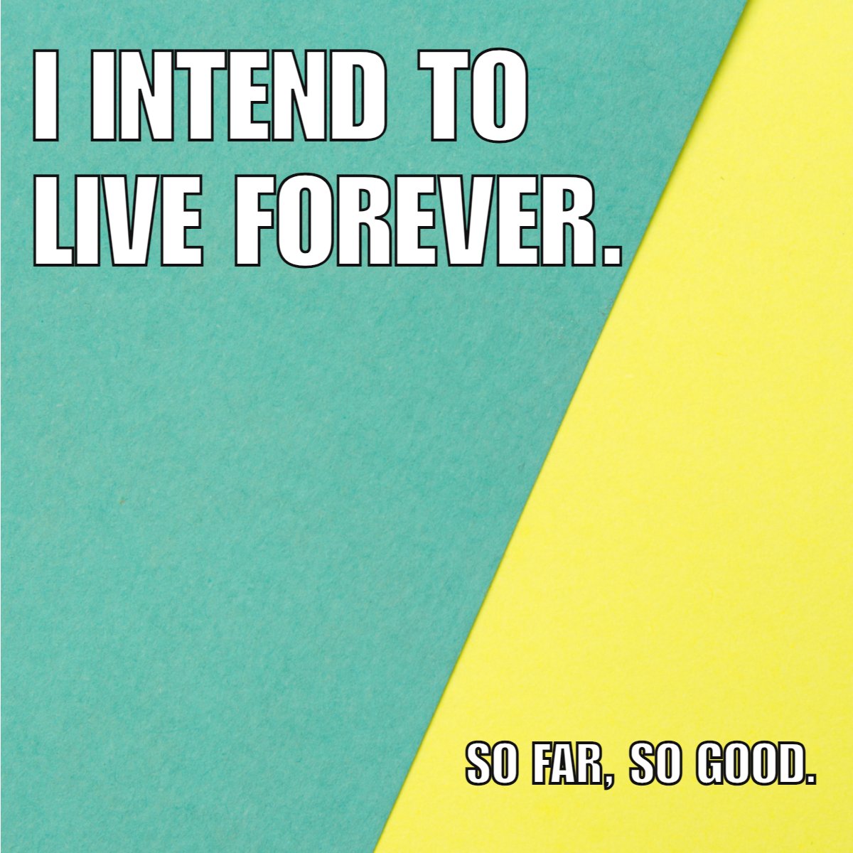 bischoffrealtor's tweet image. Live life to the fullest every day—after all, YOLO (You Only Live Once)! 🧘

#livewhileweareyoung #liveauthentic #liveyourbestlife #livestrong #YOLO