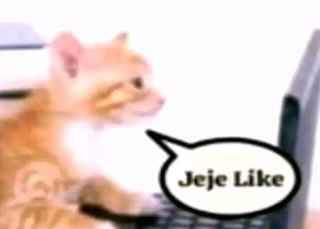Lok3n 🦝 tweet media