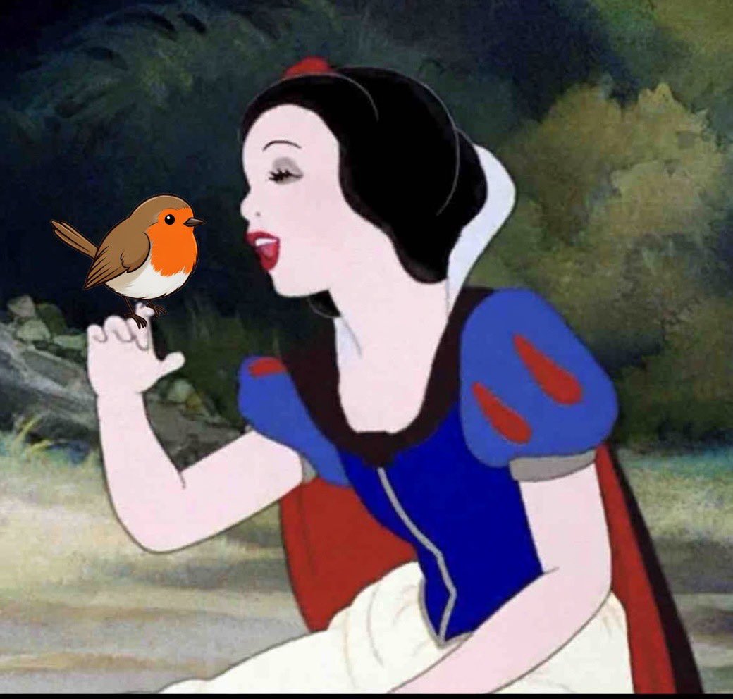 Robin tweet media