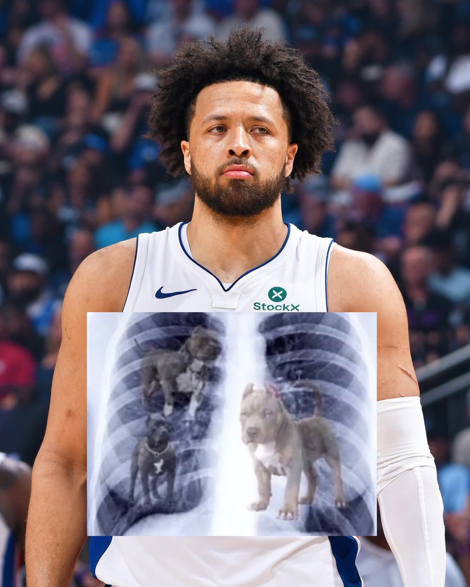 ENJ🏀Y tweet media