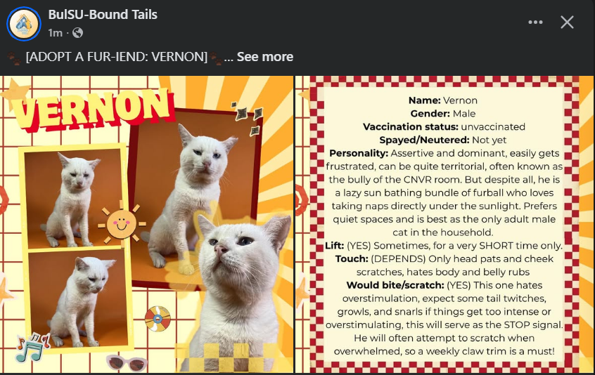 mingyubear_'s tweet photo. vernon is up for adoption! <33 https://t.co/rvVMN10HST