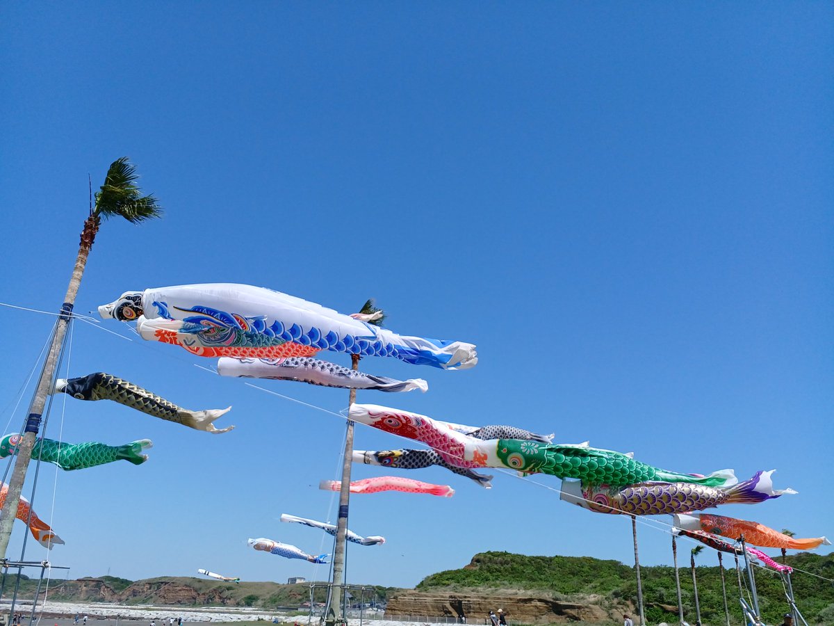 choshiiruka's tweet photo. こいのぼり～🎏⁡
⁡5/5まで～🎏🥰⁡
⁡⁡
⁡ #銚子マリーナ海水浴場 ⁡
⁡⁡
#世界一ちっちゃな水族館⁡ の目の前
⁡⁡
⁡銚子マリンスポーツ促進協議会の皆様が揚げてくださいました🎏⁡
⁡⁡
⁡ありがとうございます🥰 https://t.co/sAmqlRaCgx