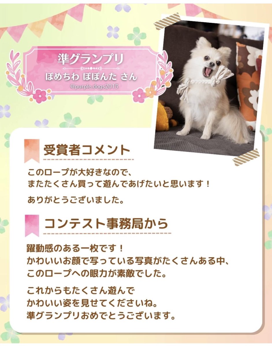 ぽめらちわん🐾 tweet media