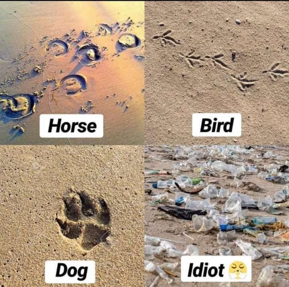 Aroobamalik956's tweet image. Do you leave footprints or a stain?   
#waste #nature #solidwaste #plasticbeach