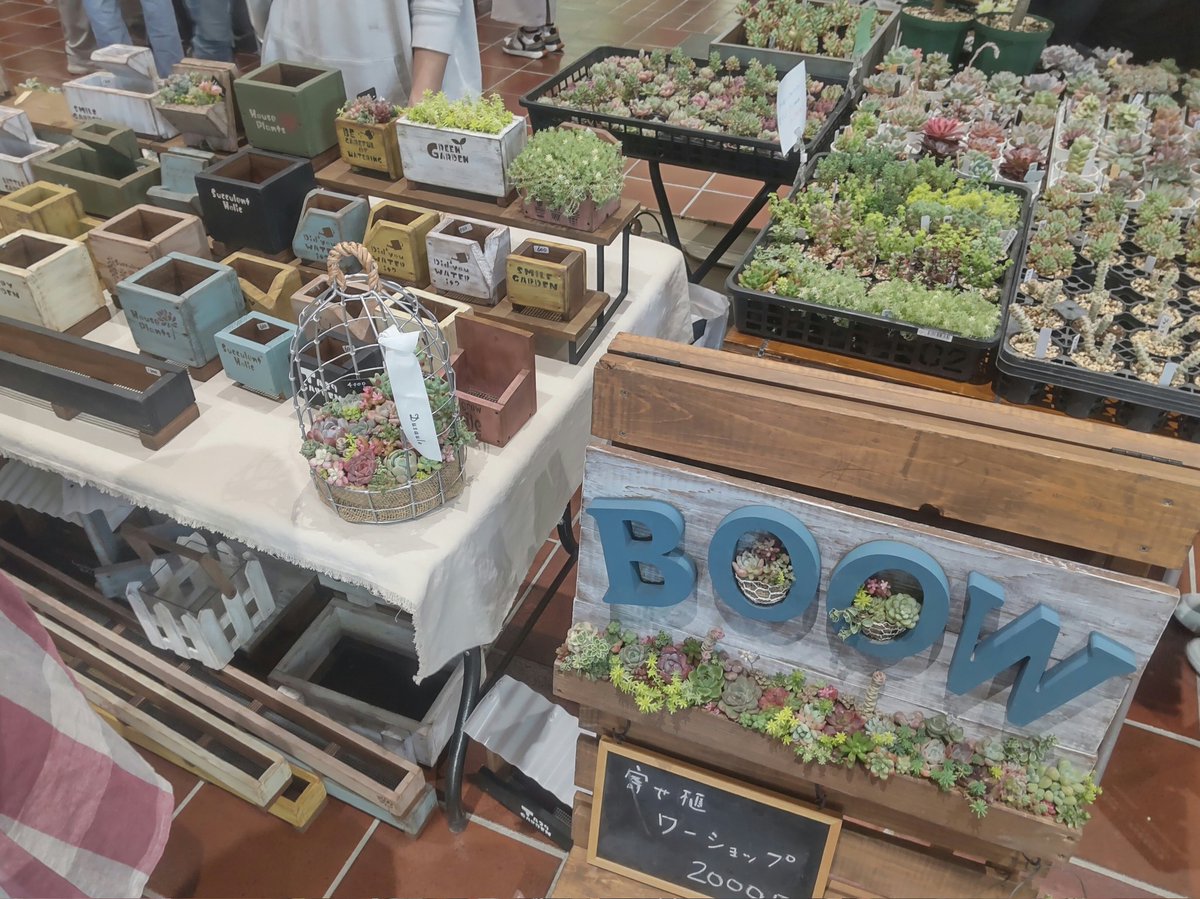 nakapapa2's tweet photo. 花と緑と雑貨市、5月2日（土）バロー文化ホールでマルシェ出店中です。
多肉植物、ハンドメイド木工鉢、リメイク鉢などを販売しています。
ご来店をお待ちしています。
#BOOW
#多肉植物
#手作り木工鉢
#ハンドメイド
#リメイク鉢
#花と緑と雑貨市
#多治見
#バロー文化ホール https://t.co/qwnvPpNmSz