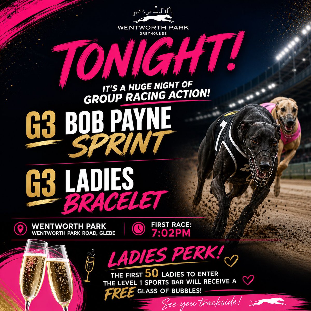 wentyparkgreys's tweet photo. GROUP RACING TONIGHT AT WENTY PARK 🏆

G3 Bob Payne Sprint + G3 Ladies Bracelet 

Free Entry - Wentworth Park Rd, Glebe   
Wentworth Park Sports Bar - Level 1
First race 7.02pm

🥂Free Glass on Champagne for the First 50 Ladies in the Sports Bar on Level 1 https://t.co/9wZ16u7Js9