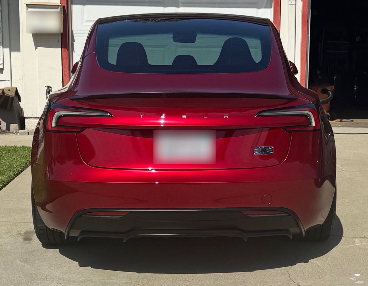 teslachoi테초이 tweet media