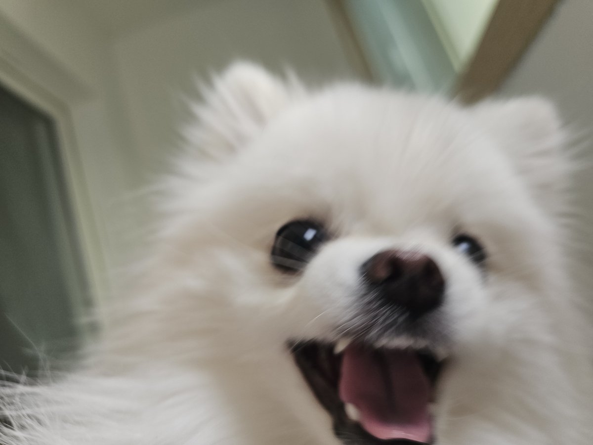 두르강튀아 tweet media