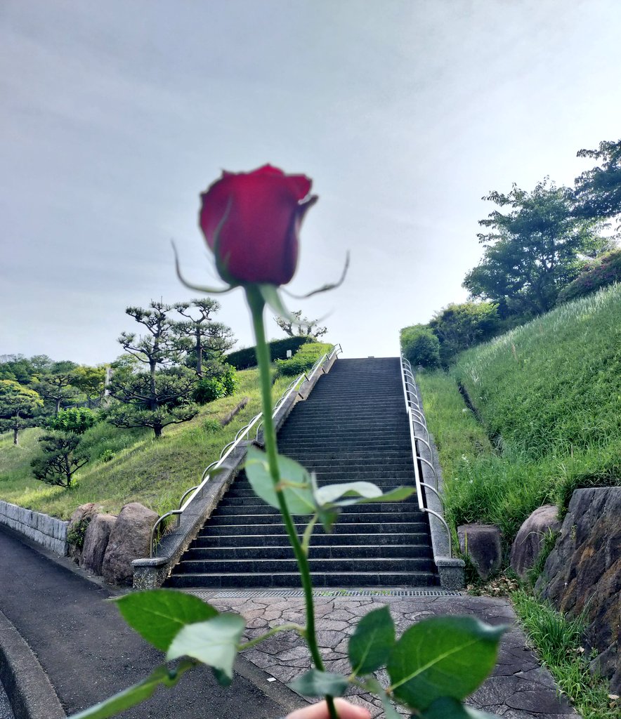 やしろネス tweet media