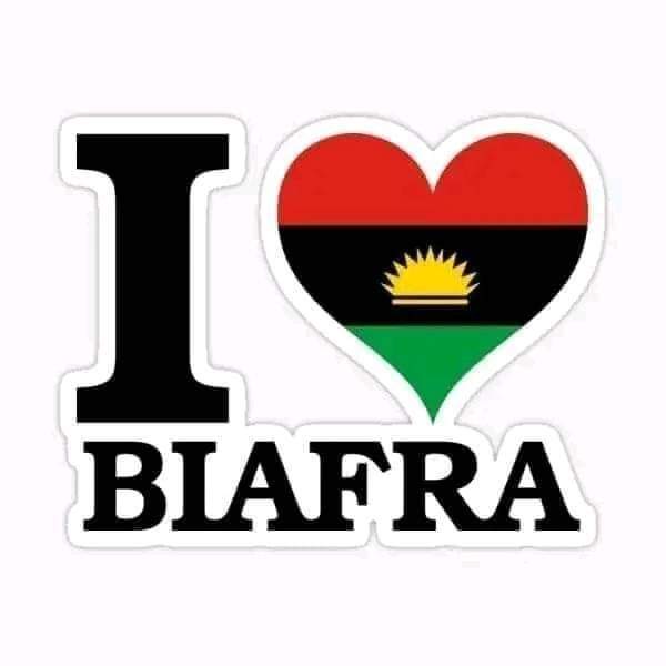 IPOB unit4 Madrid, SPAIN tweet media