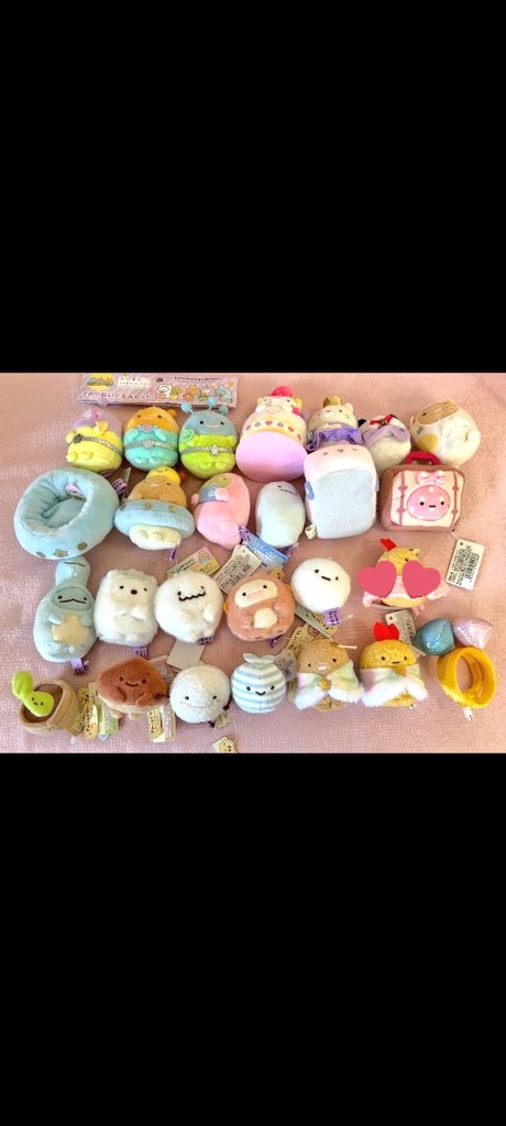 なまけもの受験生 tweet media