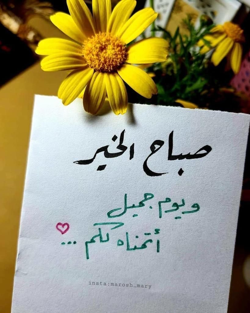 غيمة مطر tweet media