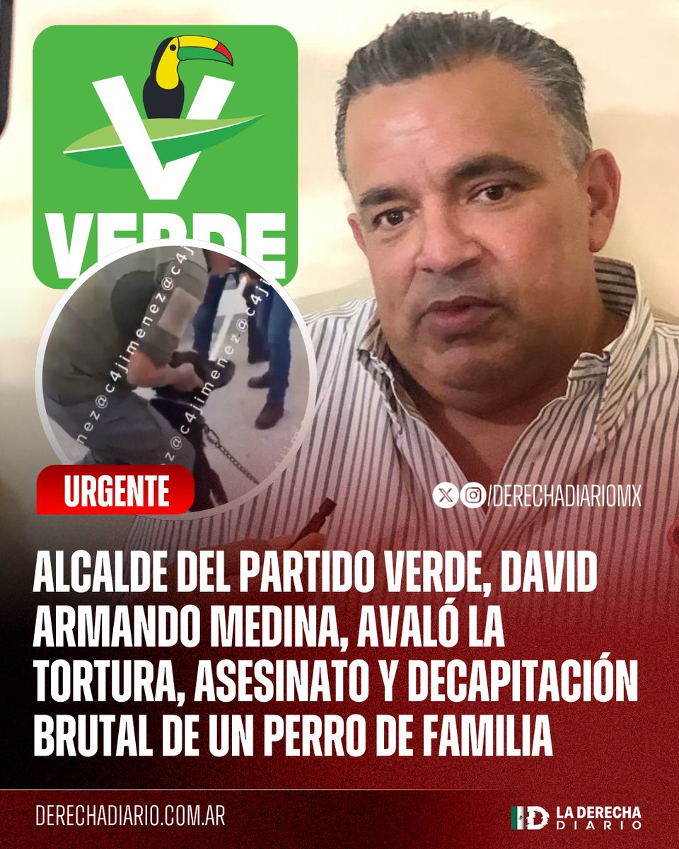 Felina felix tweet media