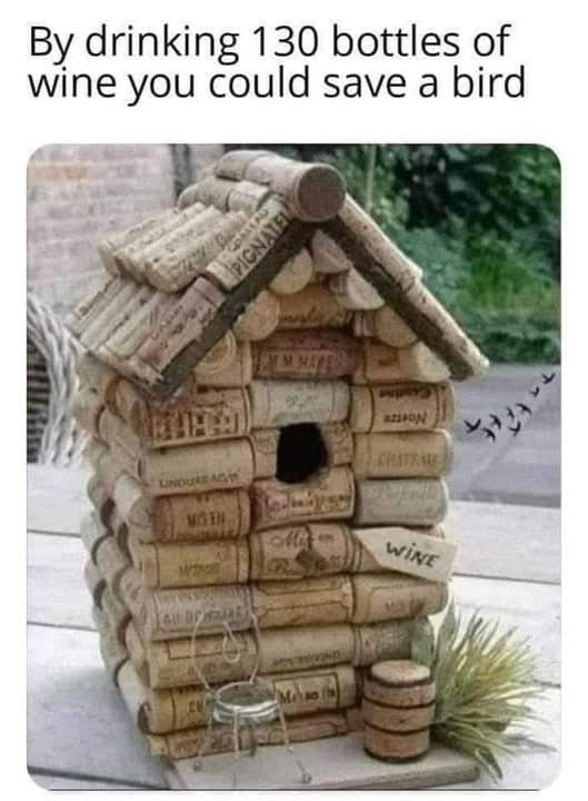 Pablo Memescobar 🐈 tweet media