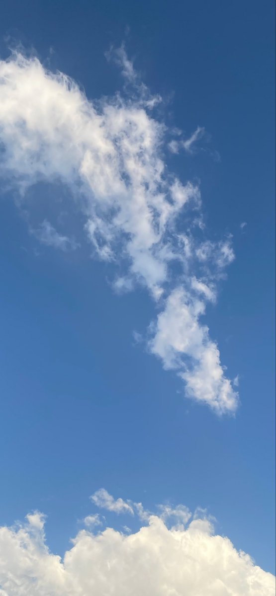 عبدالله الهاشمي tweet media