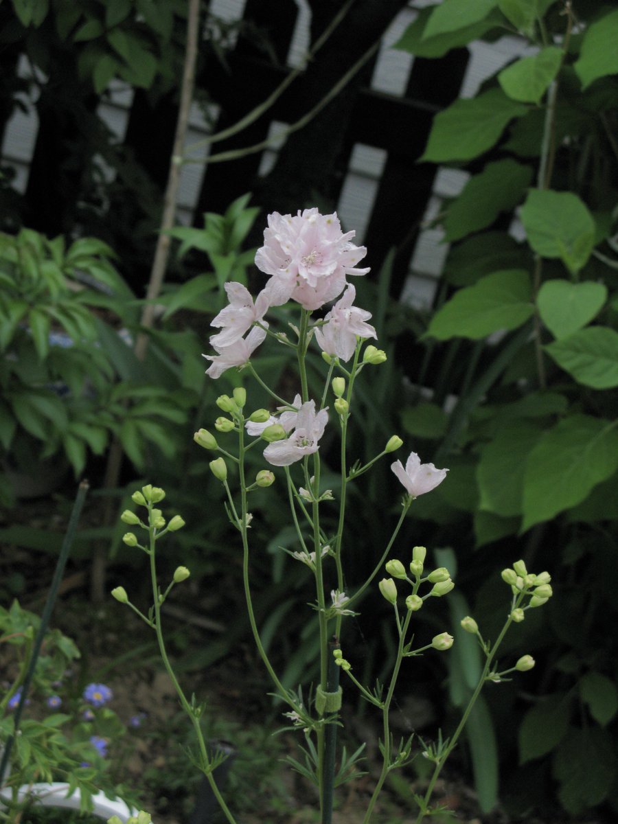 댕 tweet media