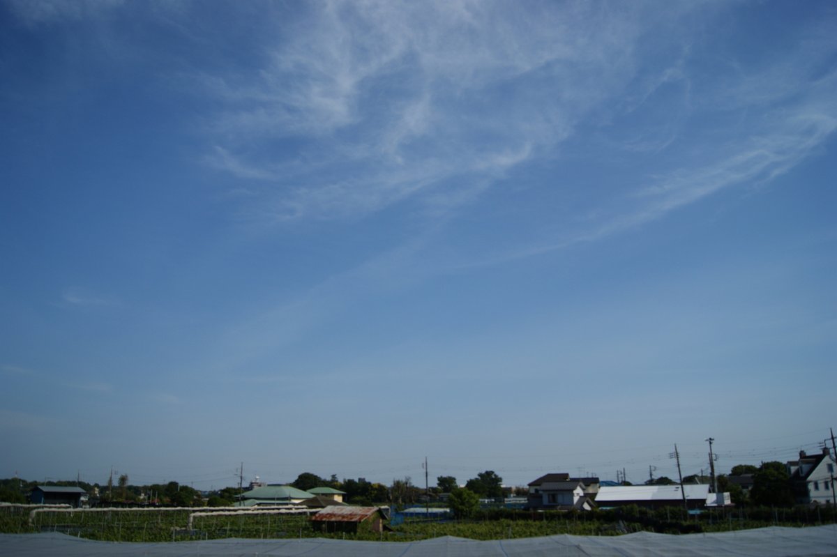 ki4188nashizou's tweet image. 今日は気温が上がりました☀️
現在我が家の気温計は２６．５℃を示しています
皆さん、リラックスした良い時間をお過ごしください😊

#イマソラ
#SONY #α380 #CCDセンサー