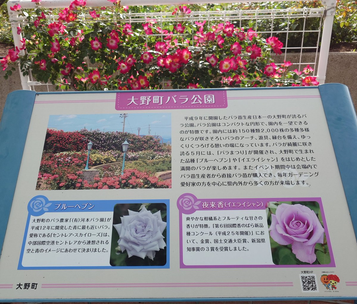 アーラ(岐阜推し岐阜県民🪽) tweet media