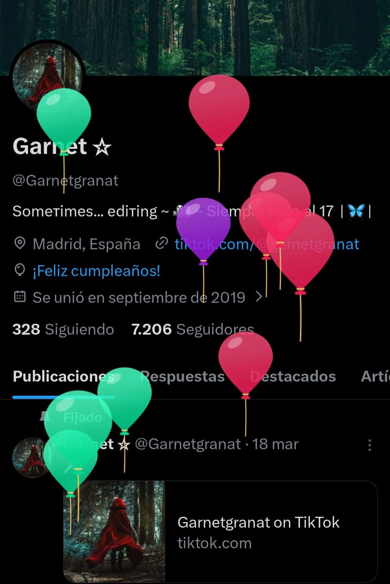 Garnet ☆ tweet media
