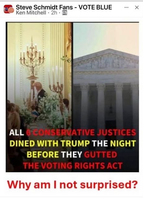 1bluestarmomma's tweet image. Because of one who is a rapist, misogynist, racist lying megalomaniac narcissist AND convicted felon, the government &amp;amp; #SCOTUS are corrupt. The court swore oaths to uphold &amp;amp; defend The Constitution without fear or favor has dishonored all who sacrificed for #VotingRights