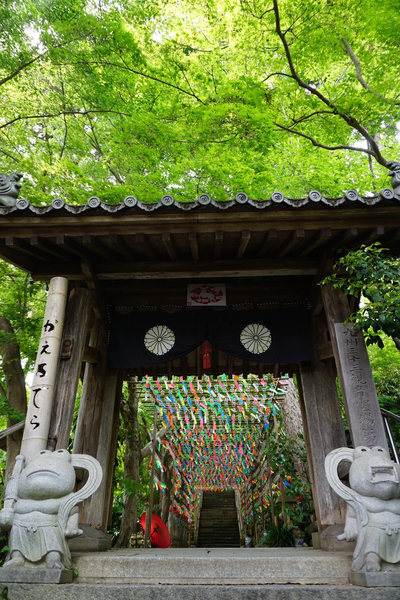 Tomo_Mrk3B01's tweet image. Nyoirin-ji temple(#如意輪寺 ), Ogori city, Fukuoka😉
This #temple enshrines Nyoi Kannon(the goddess of mercy in Buddhism) and is also really famous and loved by locals as Kaeru(Frog) temple, which means various &amp;amp; funny Frog items are located throughout the precinct😍
#twinglish