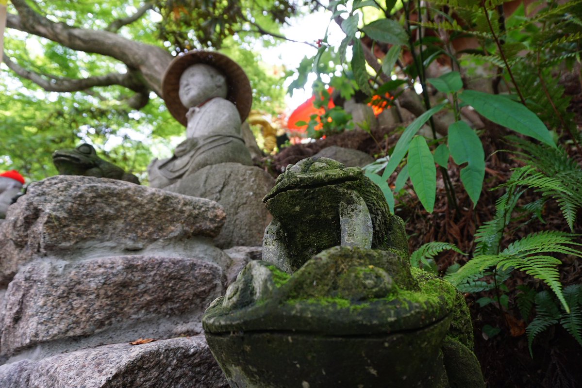Tomo_Mrk3B01's tweet image. Nyoirin-ji temple(#如意輪寺 ), Ogori city, Fukuoka😉
This #temple enshrines Nyoi Kannon(the goddess of mercy in Buddhism) and is also really famous and loved by locals as Kaeru(Frog) temple, which means various &amp;amp; funny Frog items are located throughout the precinct😍
#twinglish