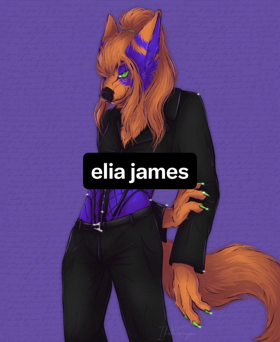 Eliajames tweet media