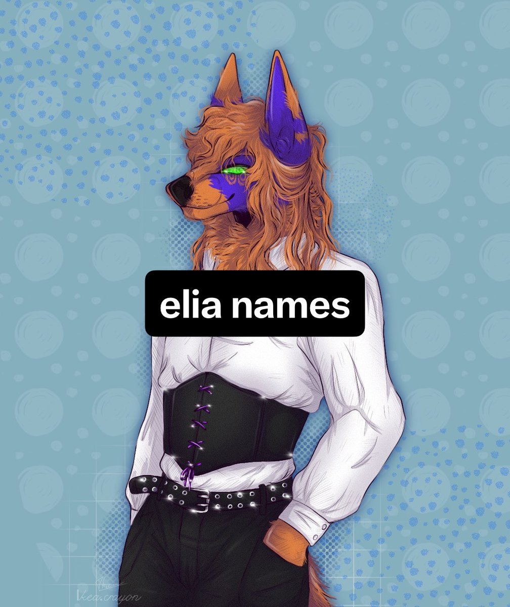 Eliajames tweet media