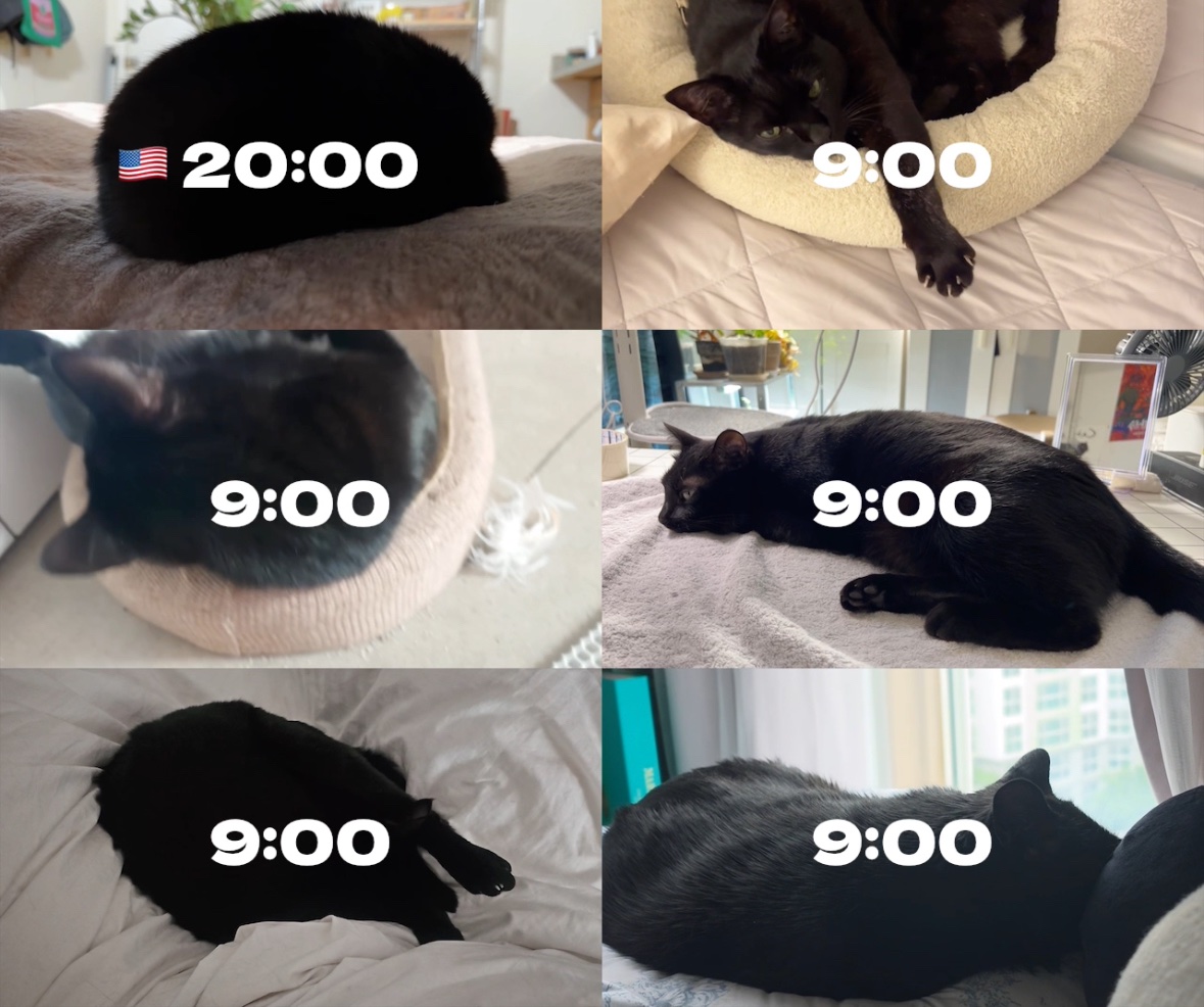 한밤 tweet media