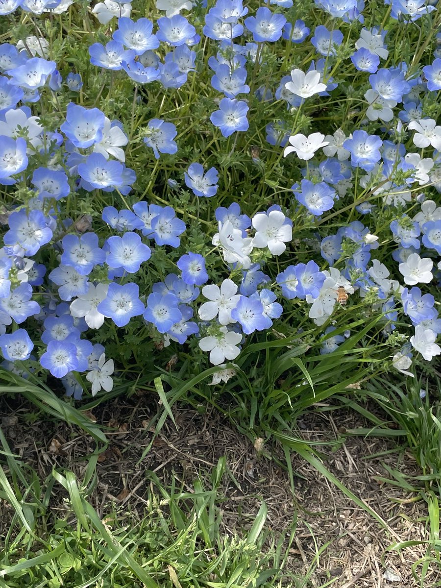 あやや🦋🐶 tweet media