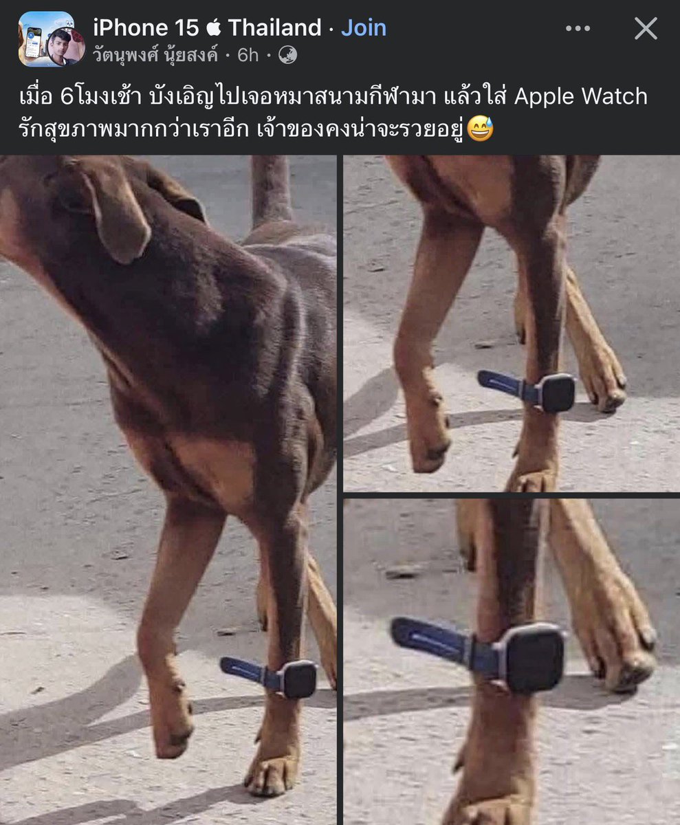 คือผมต้องทราบไหม 🐈‍⬛ tweet media