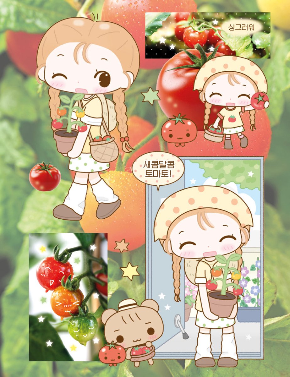 RedbeanVillage's tweet photo. 닷닷신상🍅🍅 https://t.co/6Dqq6BhcrW