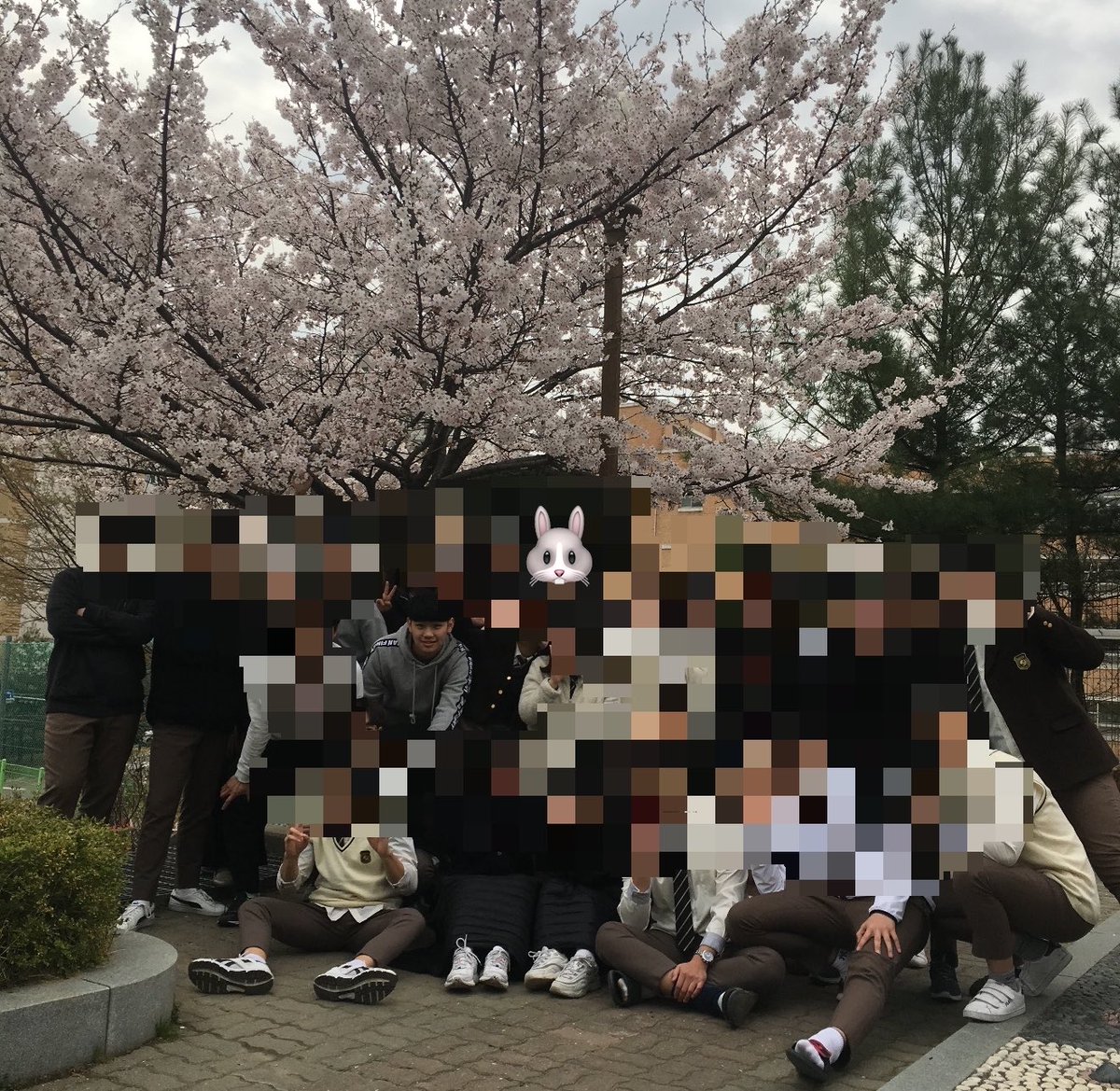 🐰 tweet media