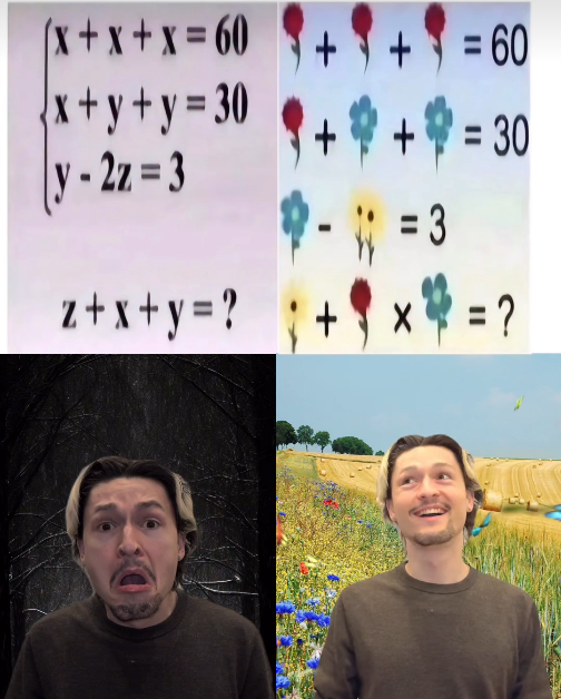 Math Files tweet media
