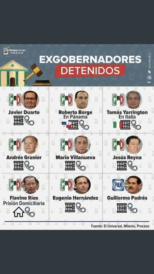 Cachorro tweet media