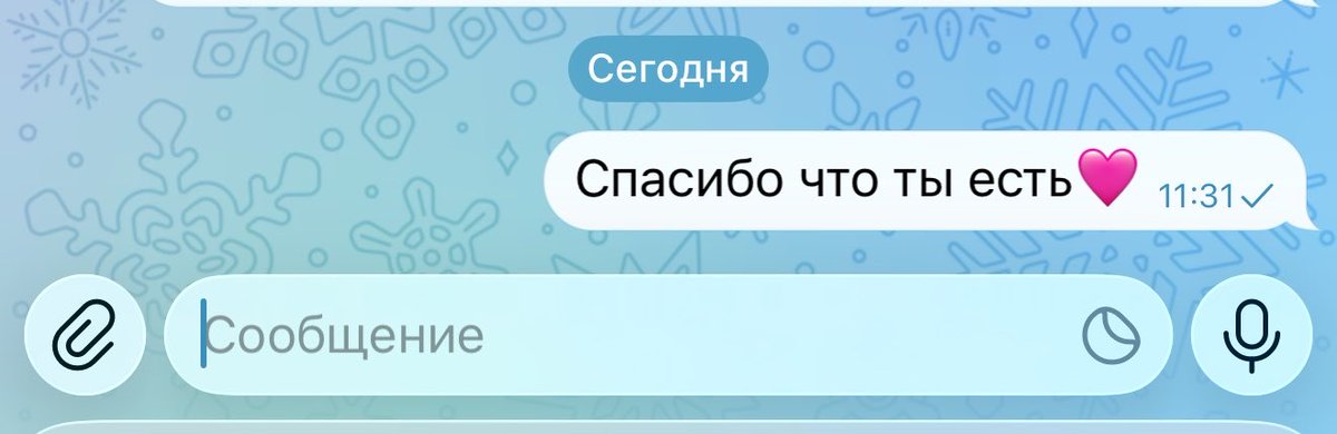 Камола tweet media