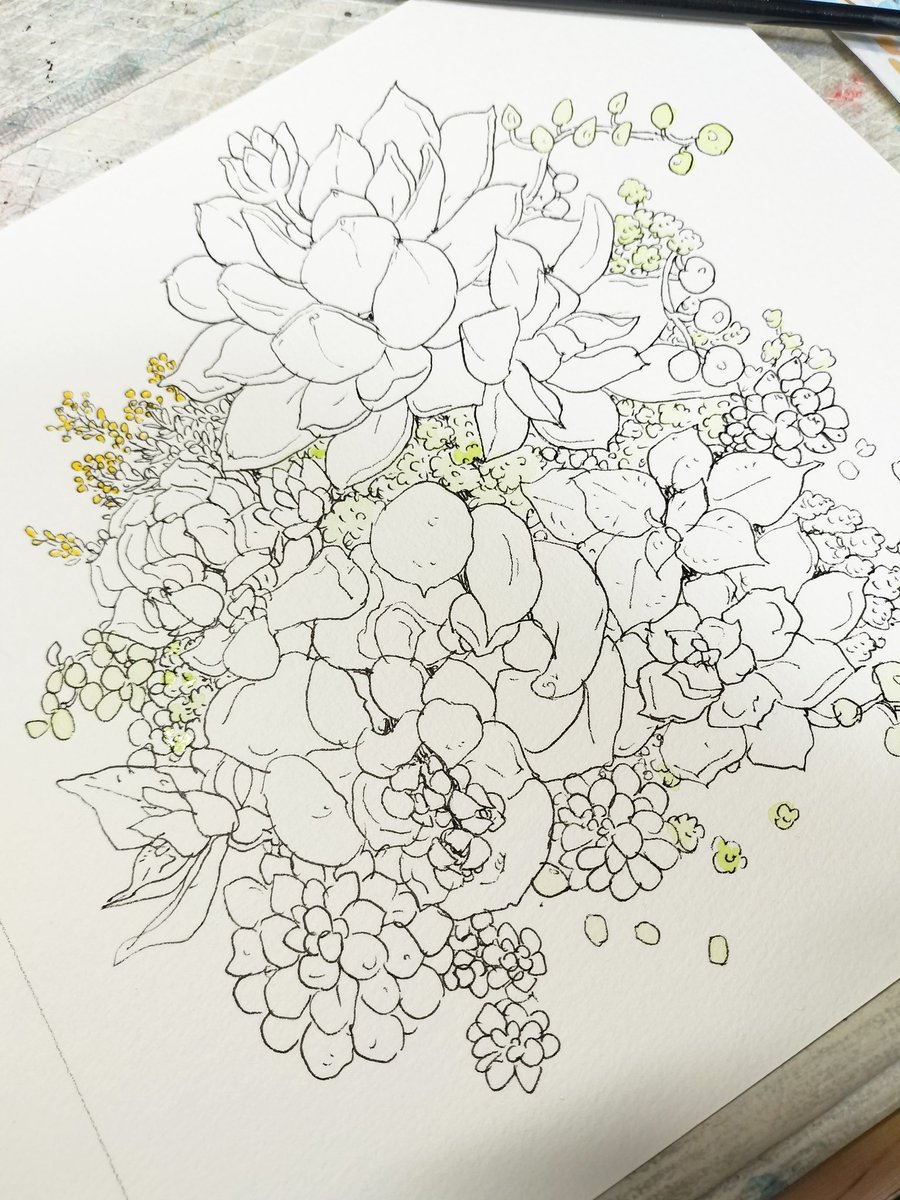 TanikuriT's tweet photo. アナログで多肉を描いたー。  #多肉  #多肉イラスト https://t.co/bHluw3CYTb