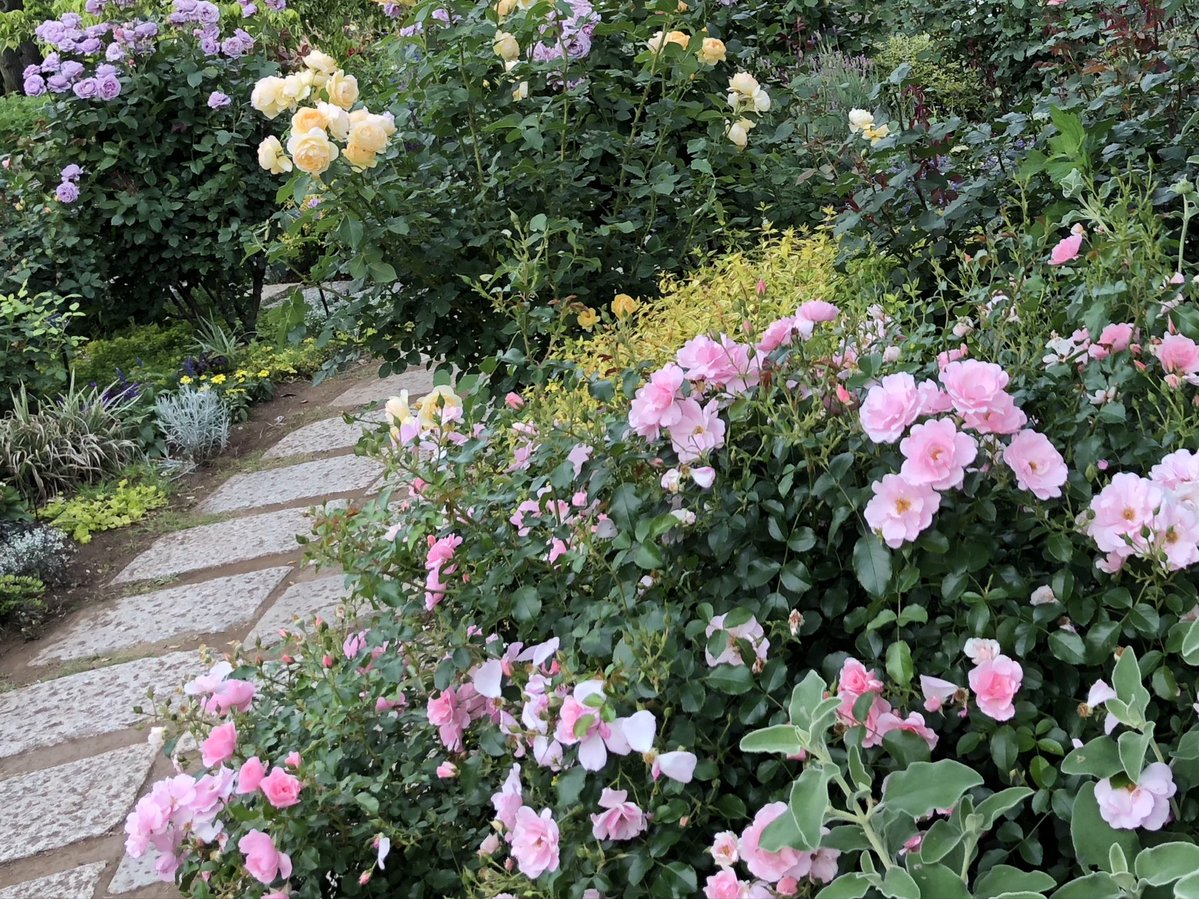 5月も宜しくお願い致します🙇‍♀️

皐月晴れのゴールデンウィーク🎏
楽しくお過ごし下さい☕️🍰

私のゴールデンウィークは明日のみ
お休みで仕事です😊

働ける事、健康に感謝して✨

来年のみなとみらいに向けシューマン.リストの’献呈’練習しています！F難度
なんですね。日々緊張感があります🎹

感謝