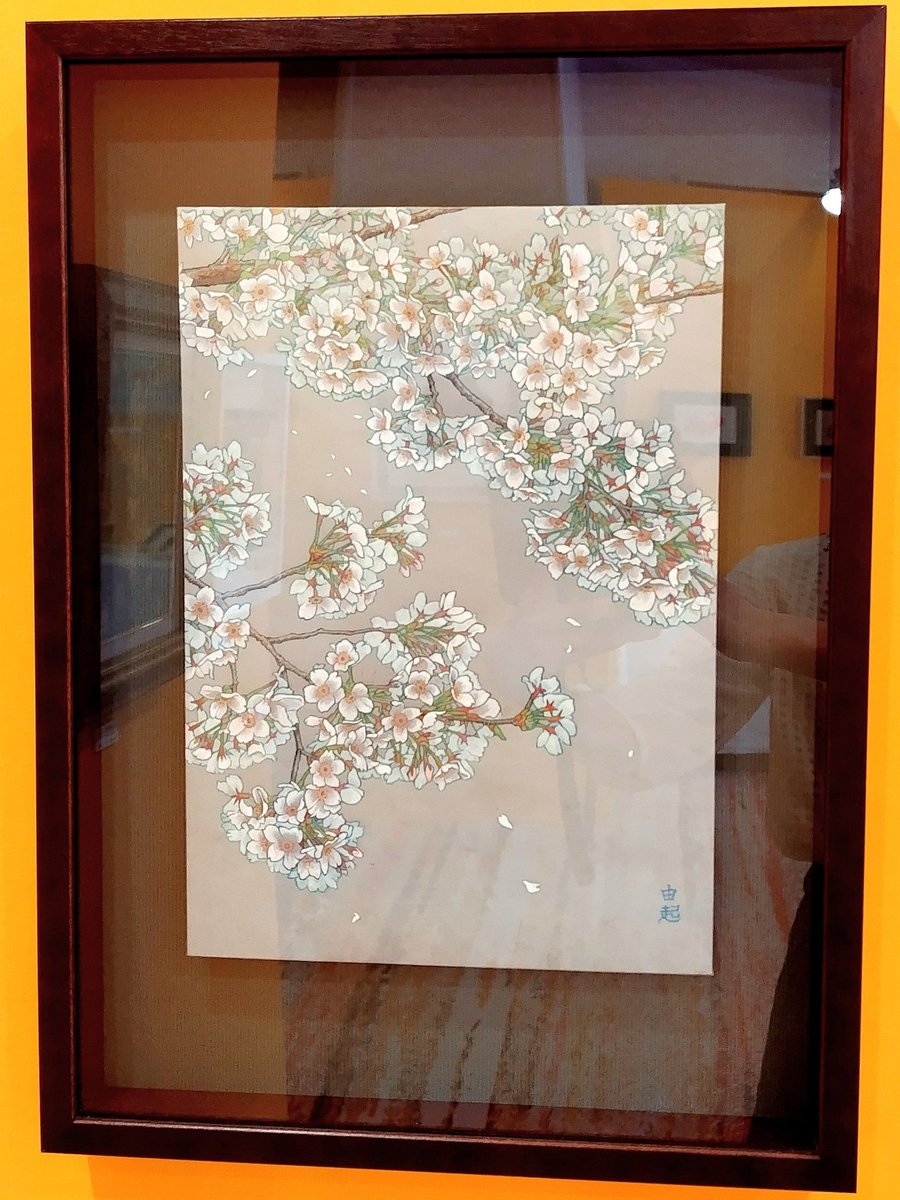 nihonga_yuki's tweet photo. 展示2日目。
模様替えしました！姉妹作品（桜の絵）を隣同士に並べて展示中🖼️🌸

「ザ・美術骨董ショー」
2026年5月1日㈮〜5日㈫
東京プリンスホテル
◇1日目 終了
◇2日〜4日:10時〜19時
◇5日:10時〜17時
入場無料/駐車場無料

店名：ギャラリーF (東京タワー口から入ってすぐ)
渡辺 在廊日：全日程 https://t.co/TM56RPo3MA
