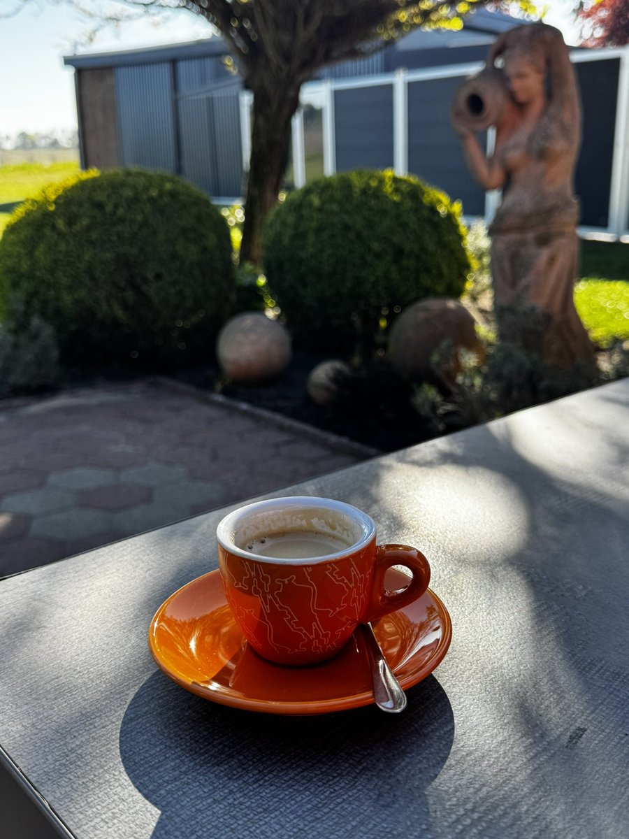 Guten Morgen aus dem Auenland ☕️🌞🎶

💙💛🕊️