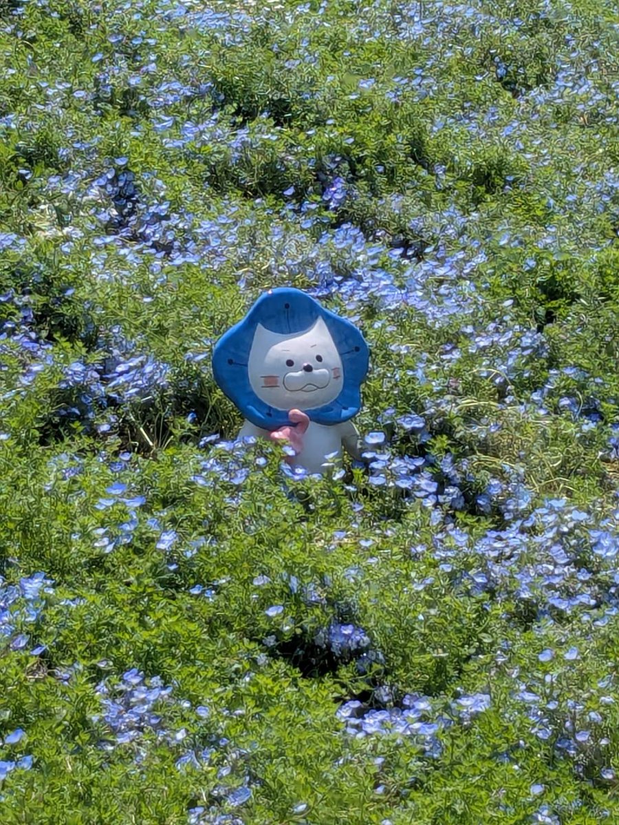 あーみ tweet media