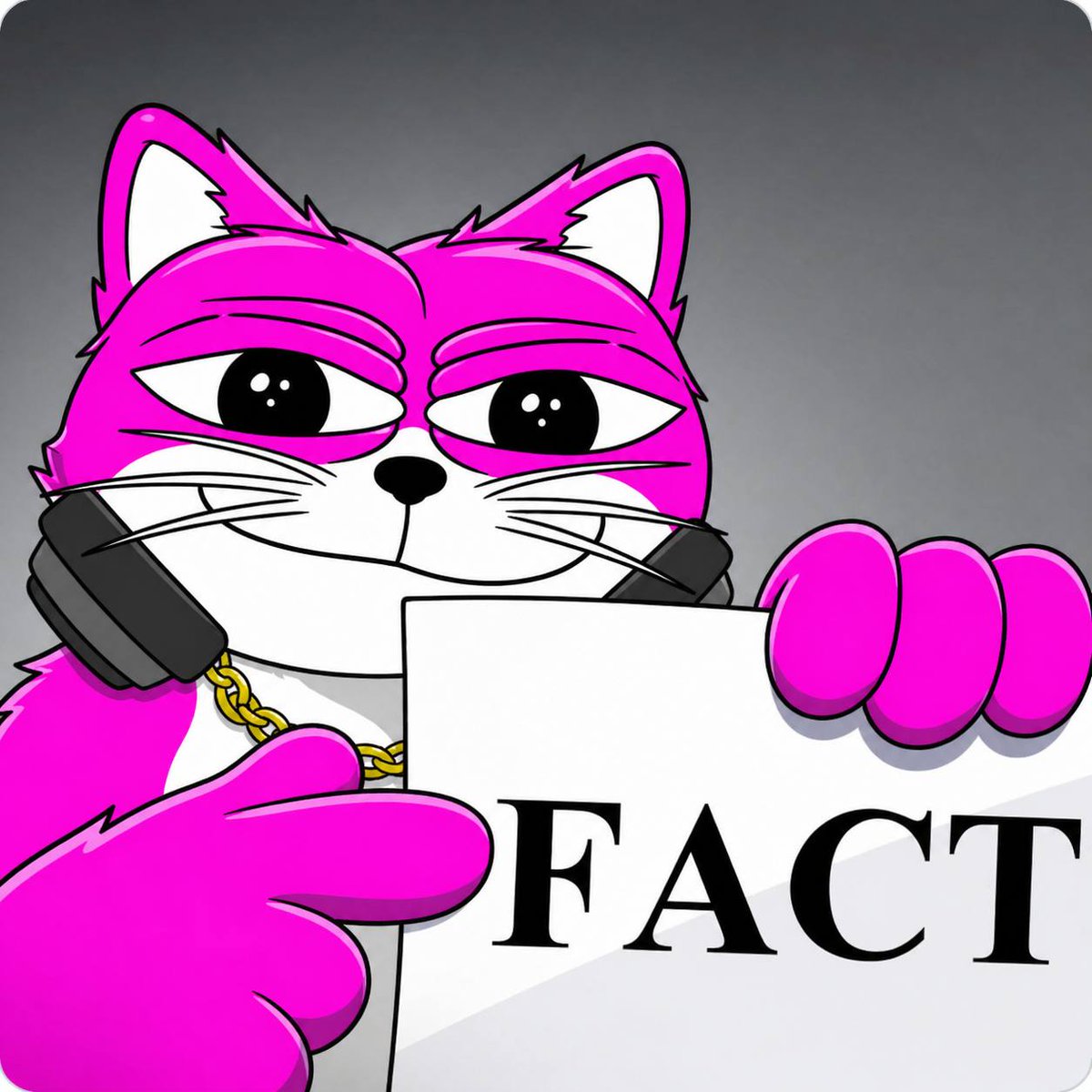 DUBCAT tweet media