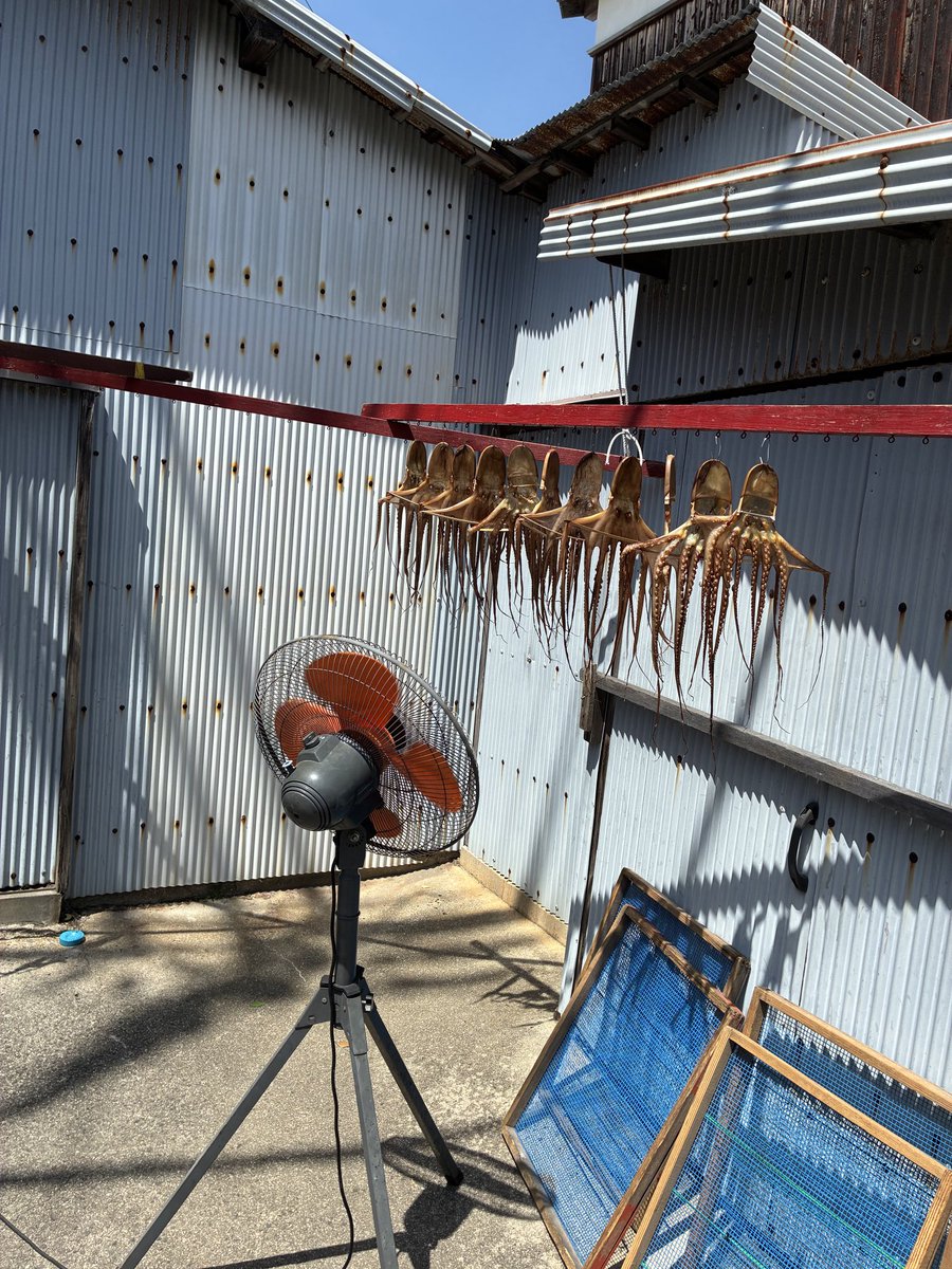 アクセルさんの日常垢 tweet media