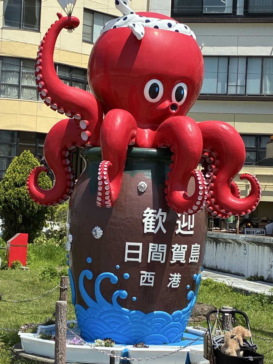 アクセルさんの日常垢 tweet media