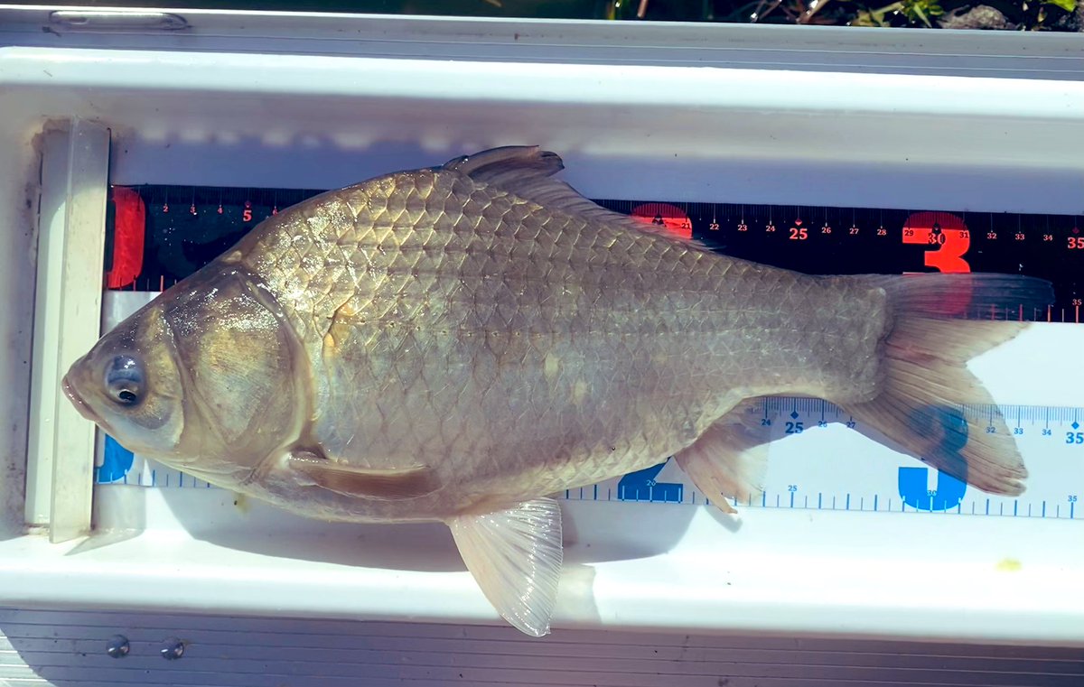 まぁさん❤🏍🌸咲羅隊 tweet media