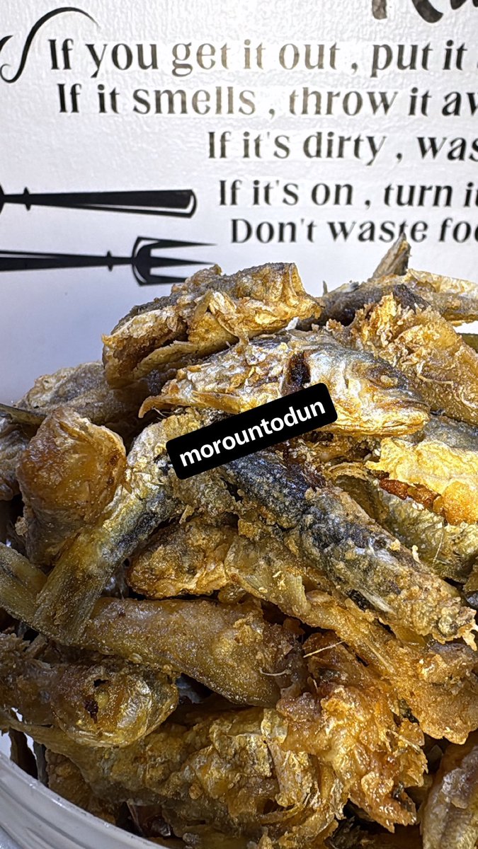 MOROUNTODUN. (AJOKEADE) tweet media