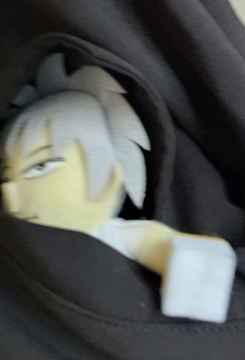 nennekoyaaa's tweet photo. ポケットしげぬ https://t.co/TZsPLXMJEC