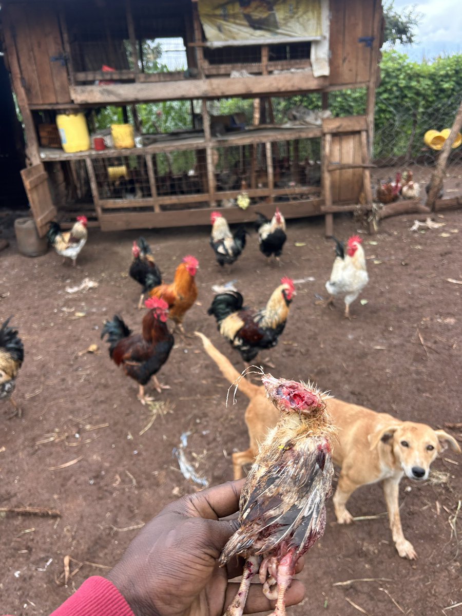 Farm With Fred tweet media