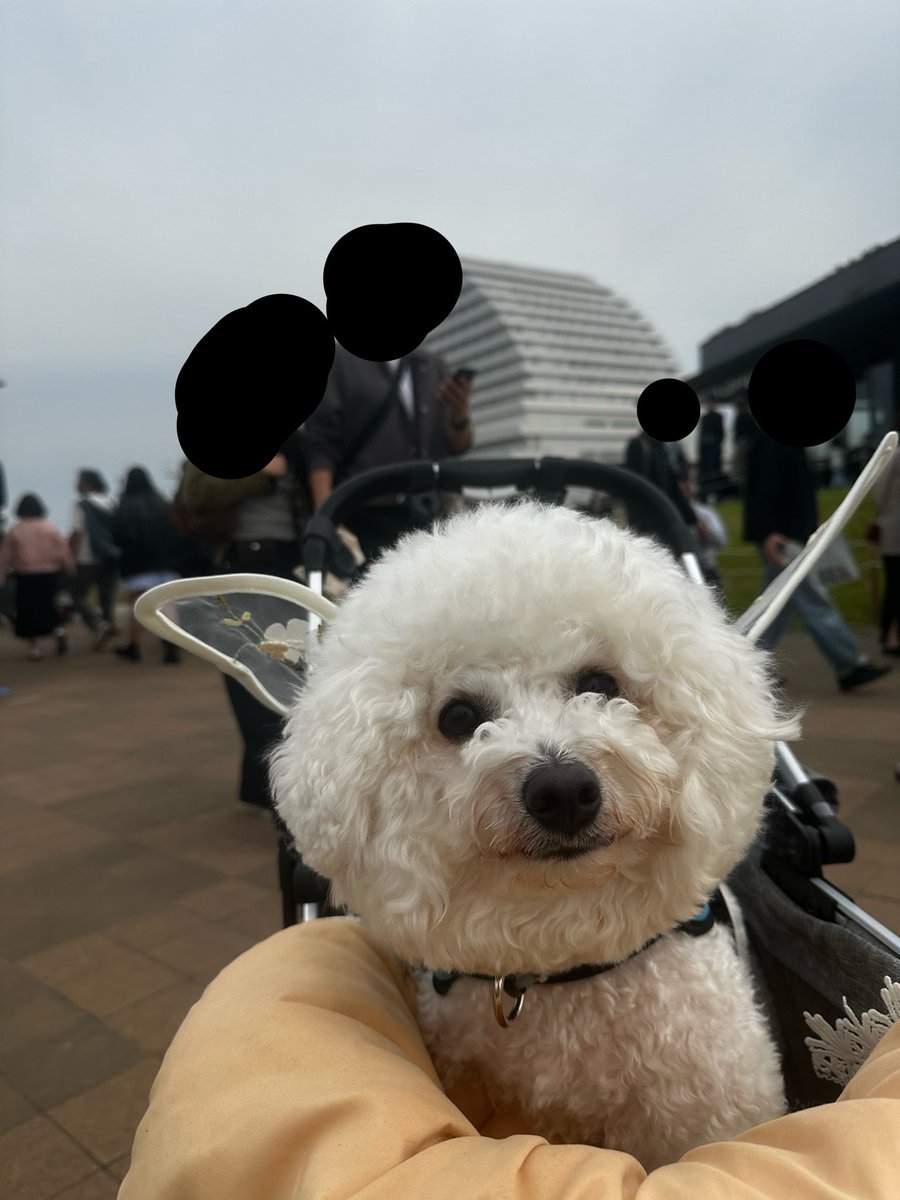 信長の野望 tweet media